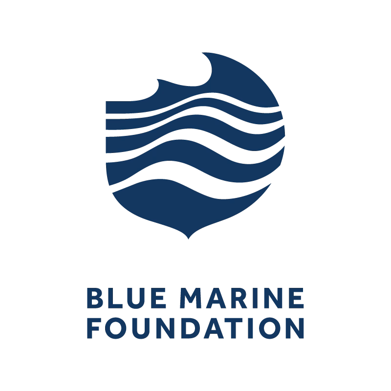 Blue Marine Foundation