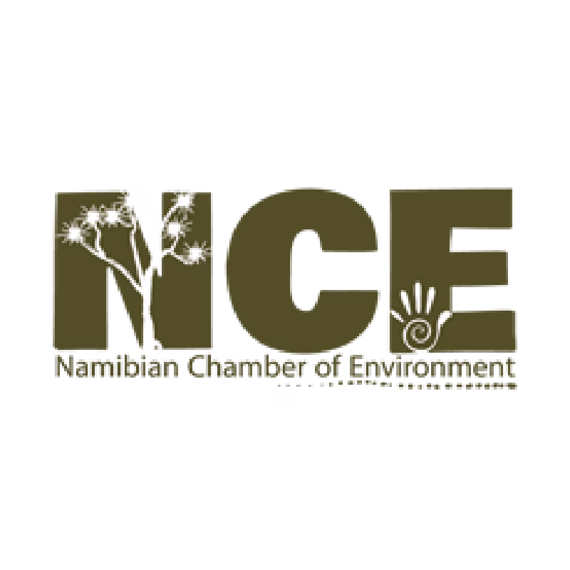 NCE
