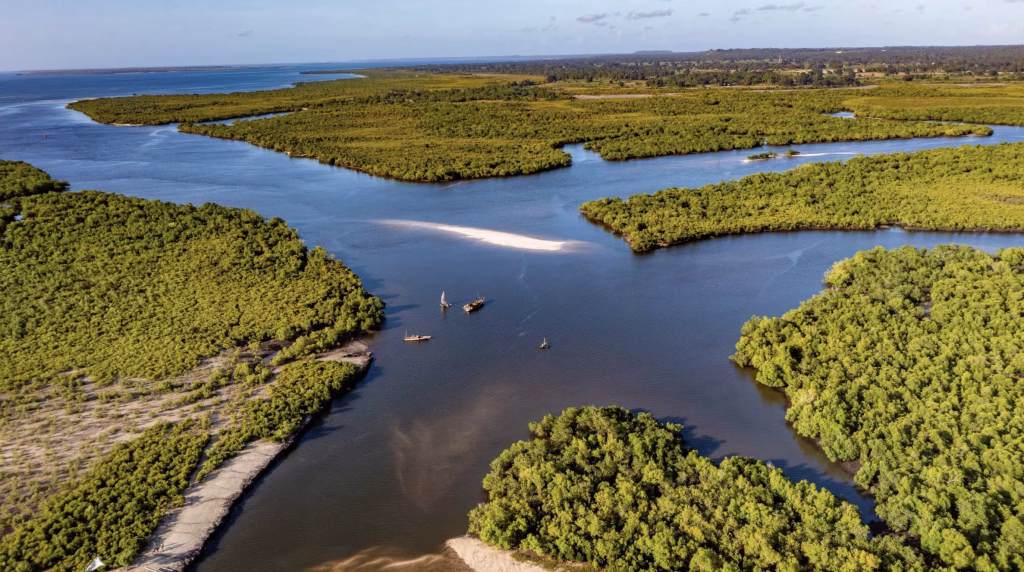 Africa’s community-led marine orgs. on which 30×30 depends